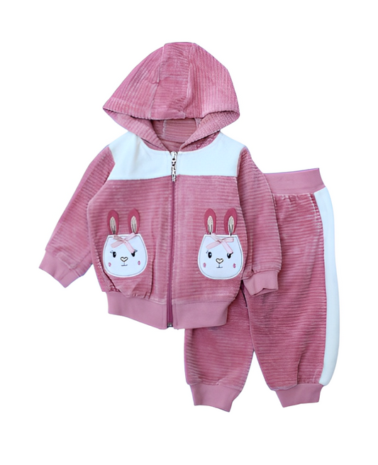 Pattic Baby 2 Pcs Fleece Zipper Hoodie With Trouser